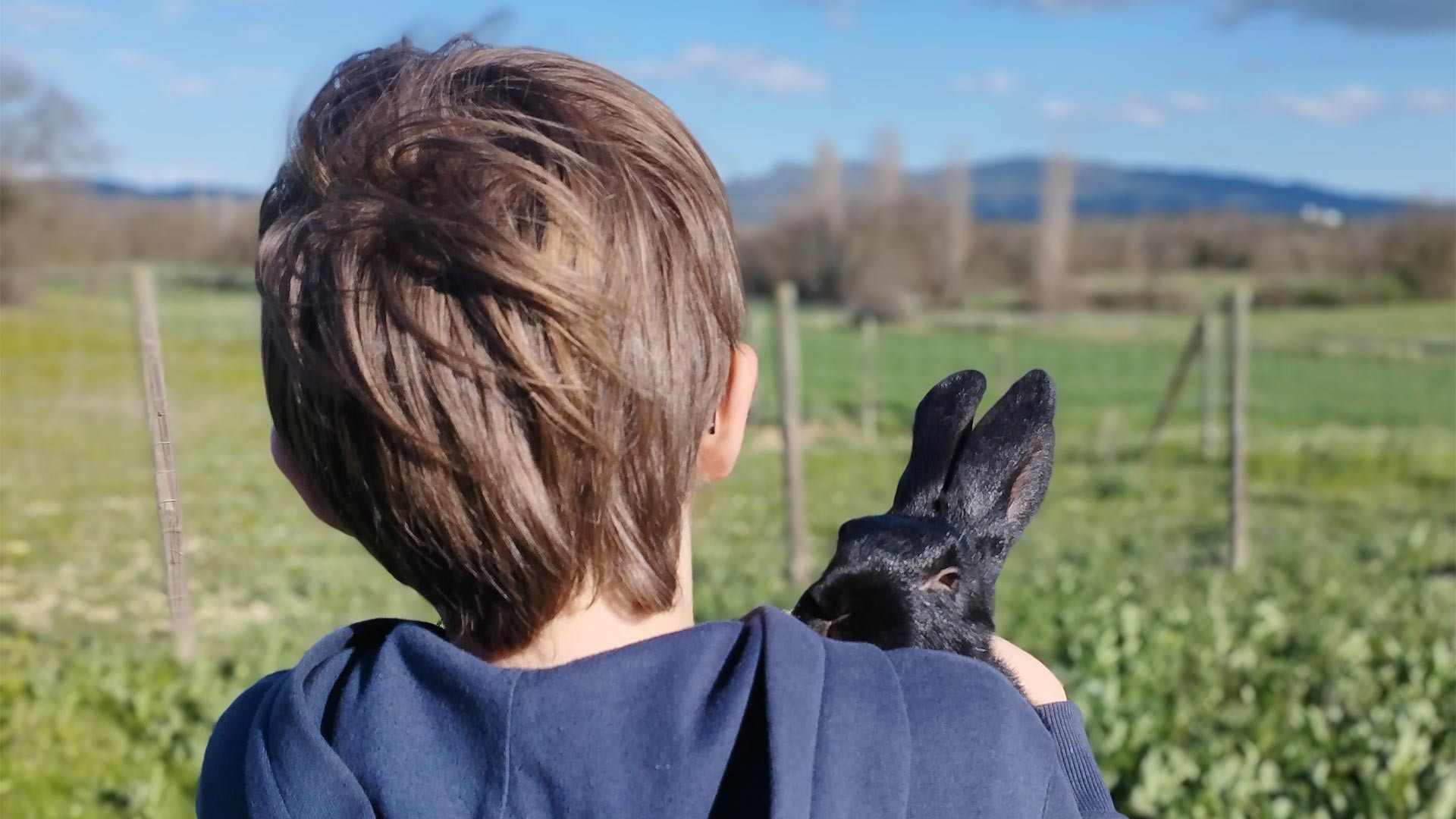 Le Bouquet, gîte à la ferme en Cévennes
